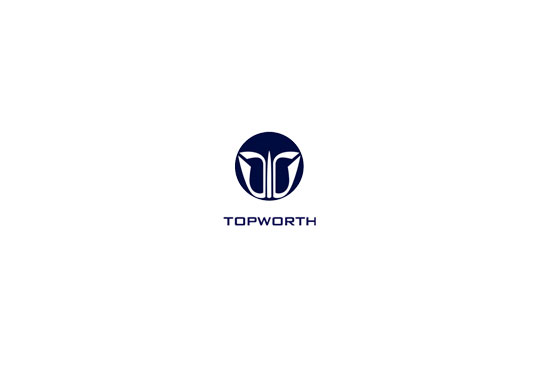 topworth group logo image